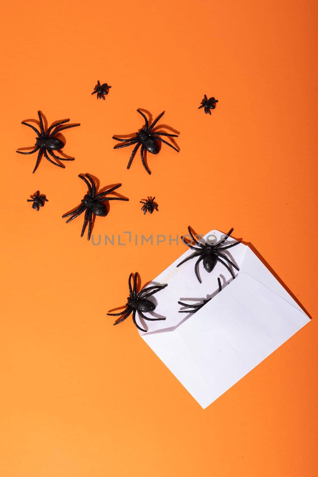 Composition of halloween decorations with black spiders and envelope on orange background. halloween tradition and celebration concept.