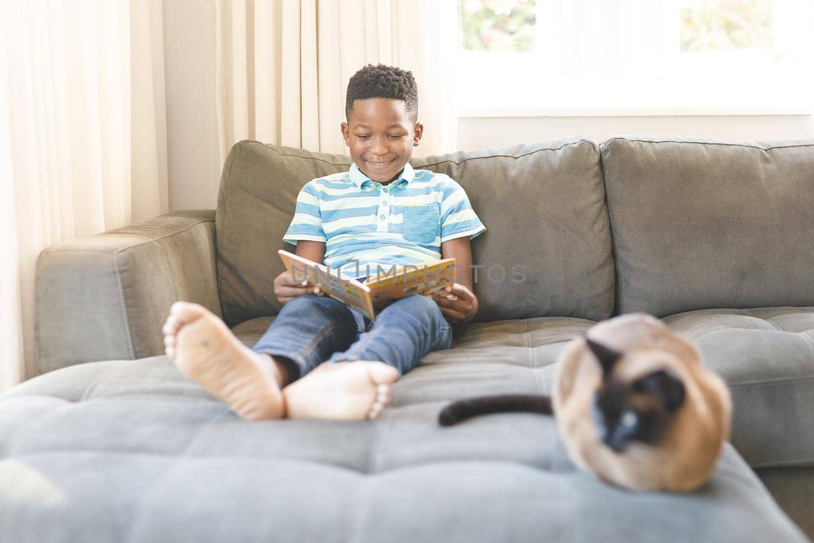 Smiling african american boy reading book and sitting on couch with cat in living room by Wavebreakmedia