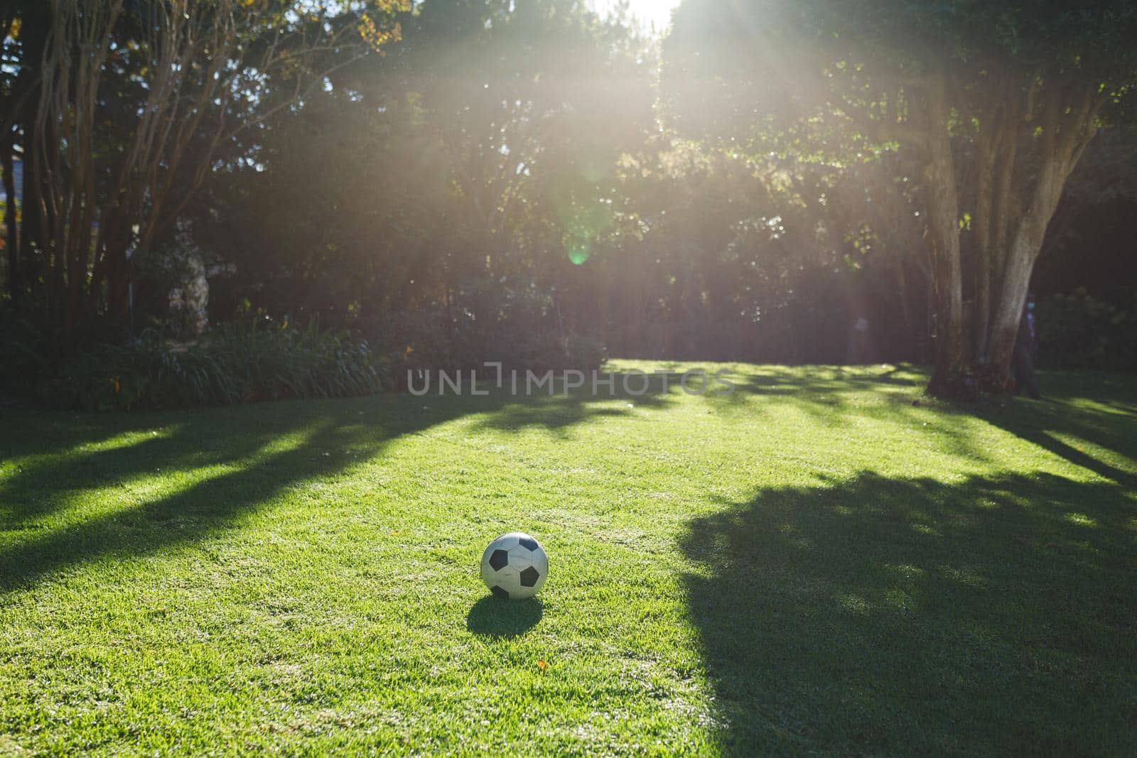 Football lying on grass in garden with trees on sunny day. spending time in garden.