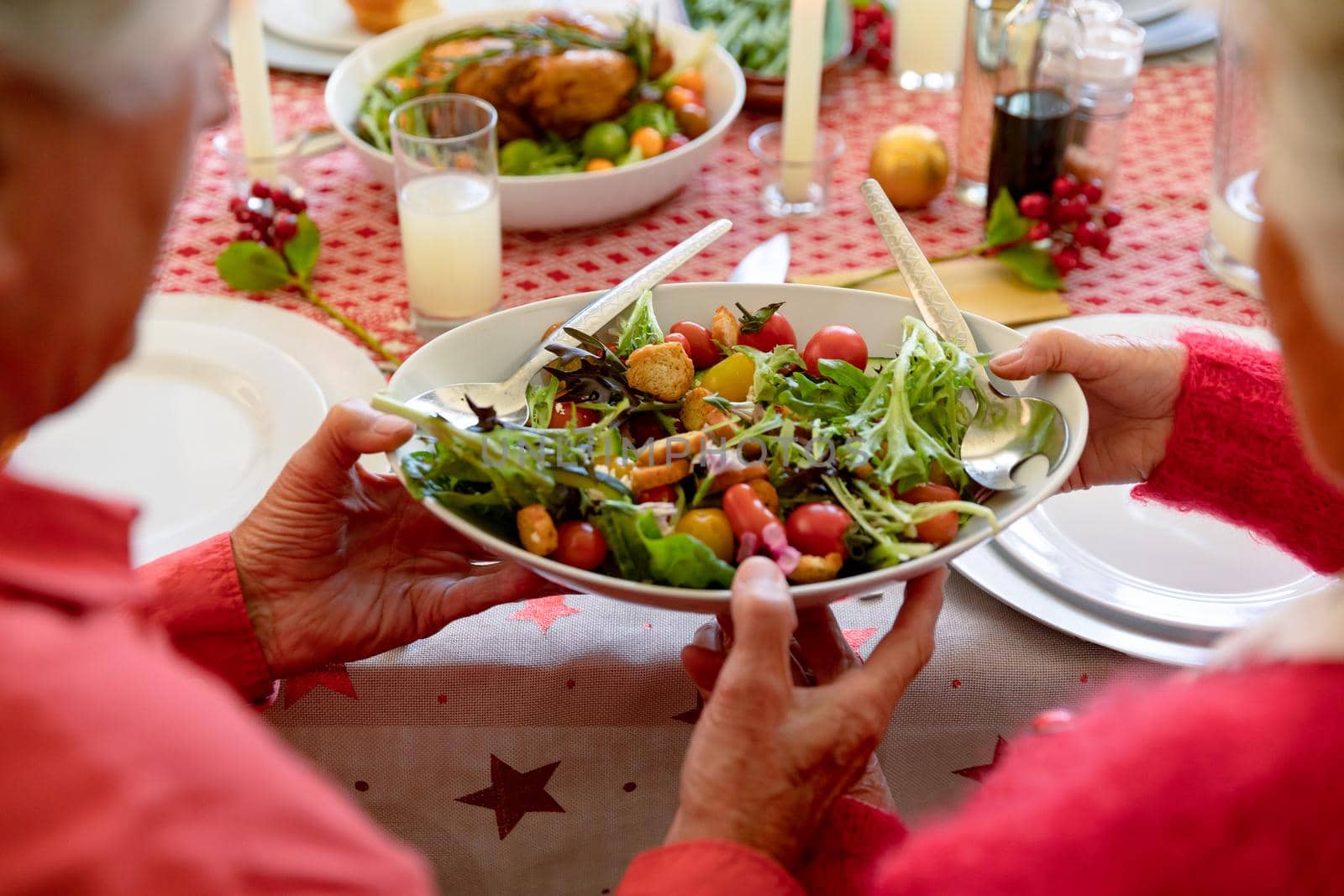 Back view of caucasian senior couple having christmas meal, holding dish by Wavebreakmedia