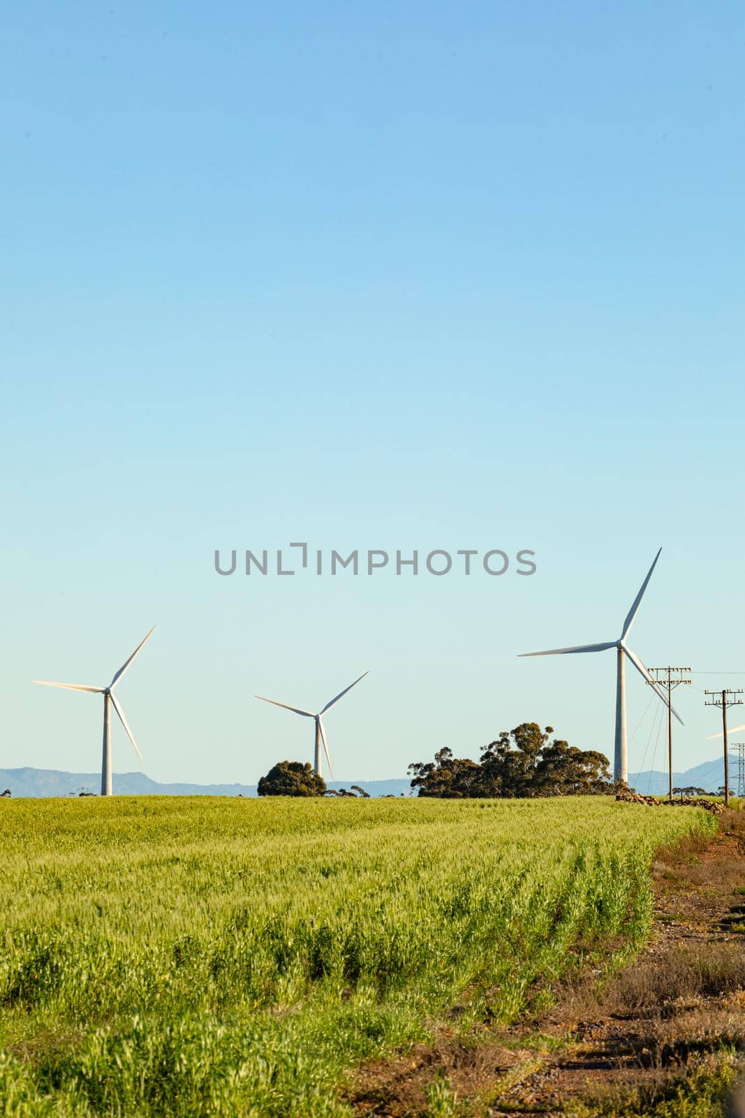 General view of wind turbines in countryside landscape with cloudless sky. environment, sustainability, ecology, renewable energy, global warming and climate change awareness.