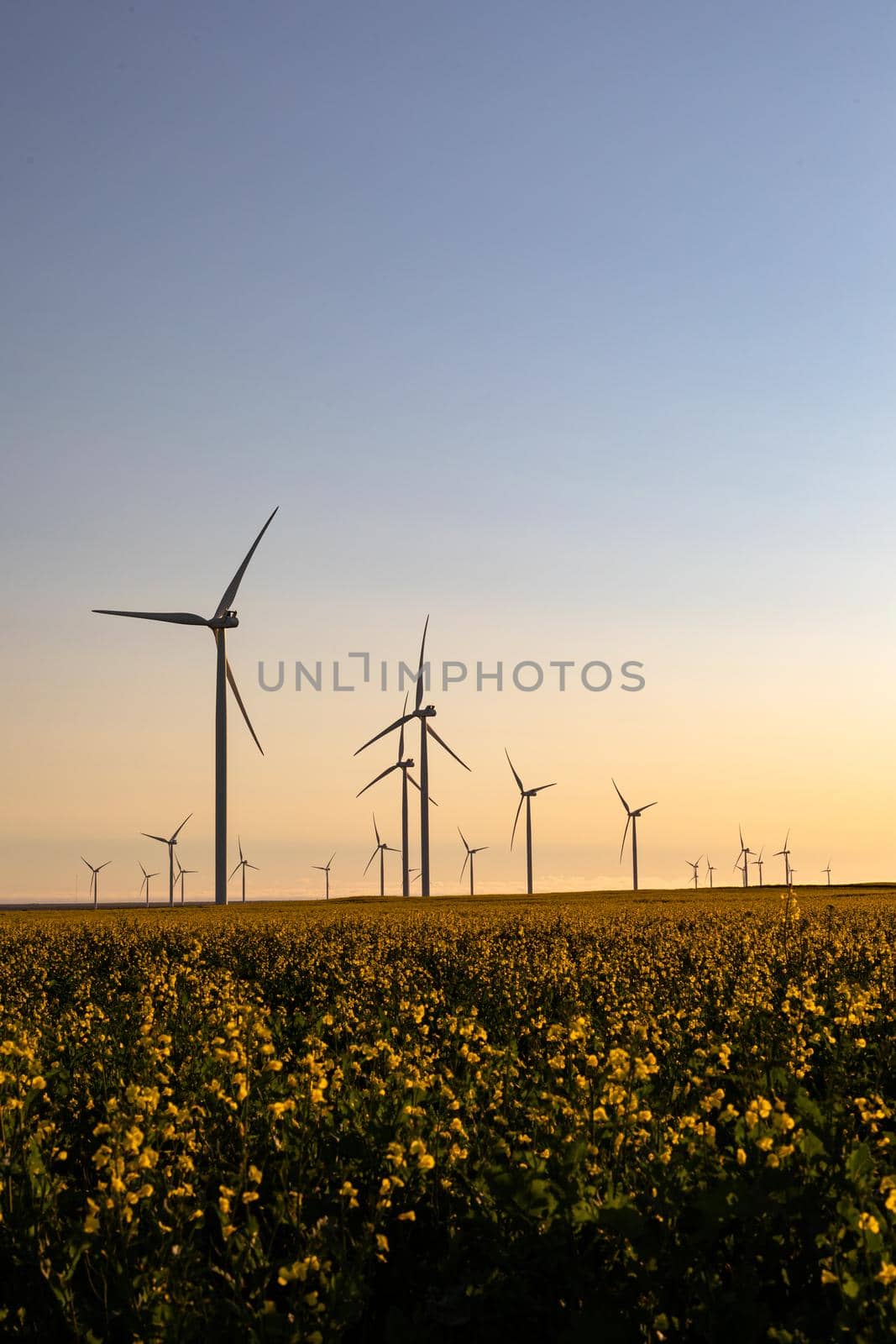 General view of wind turbines in countryside landscape with cloudless sky. environment, sustainability, ecology, renewable energy, global warming and climate change awareness.