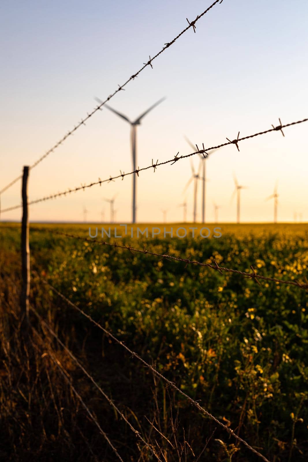 General view of wind turbines in countryside landscape with cloudless sky by Wavebreakmedia