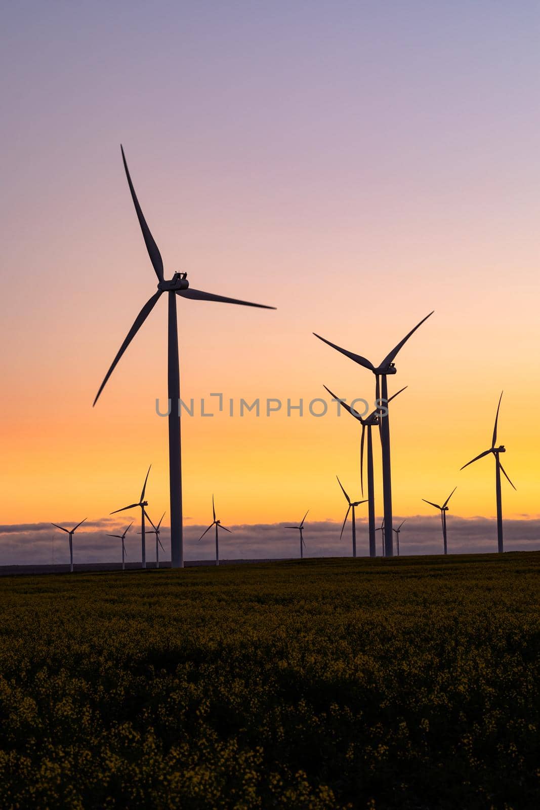 General view of wind turbines in countryside landscape during sunset. environment, sustainability, ecology, renewable energy, global warming and climate change awareness.