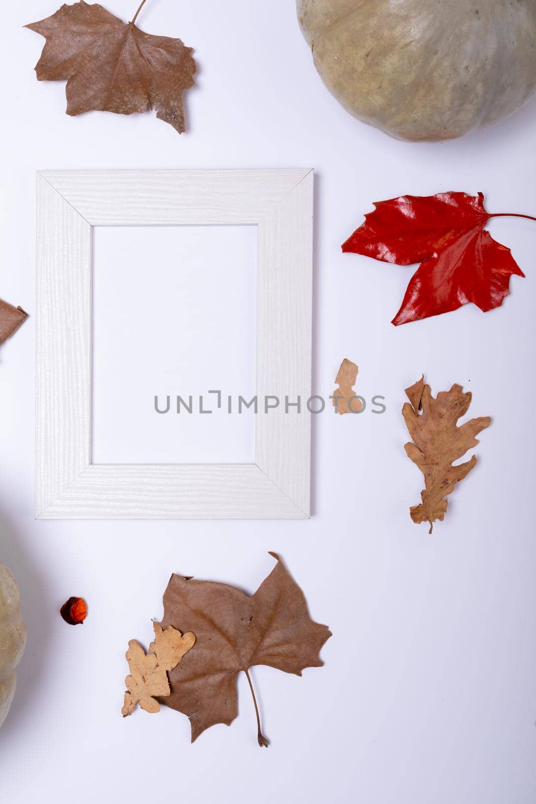 Pumpkin, autumn leaves and empty frame with copy space on white surface. autumn season and halloween concept