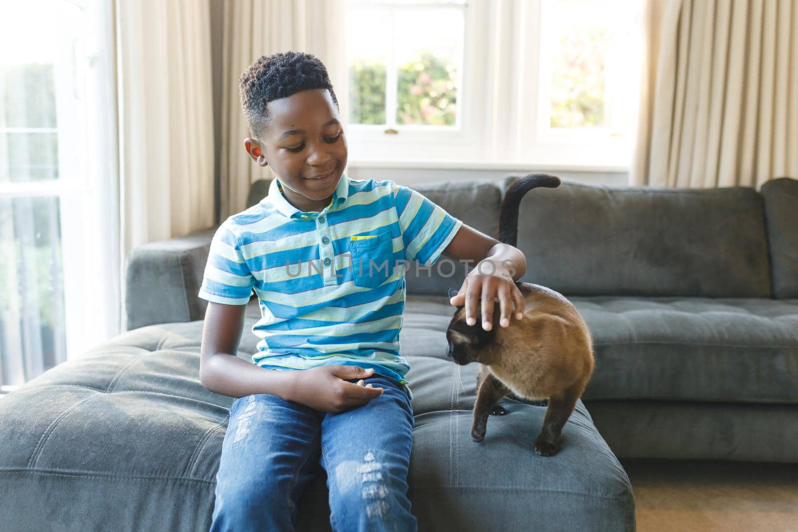 Happy african american boy sitting on couch and petting his cat in sunny living room by Wavebreakmedia