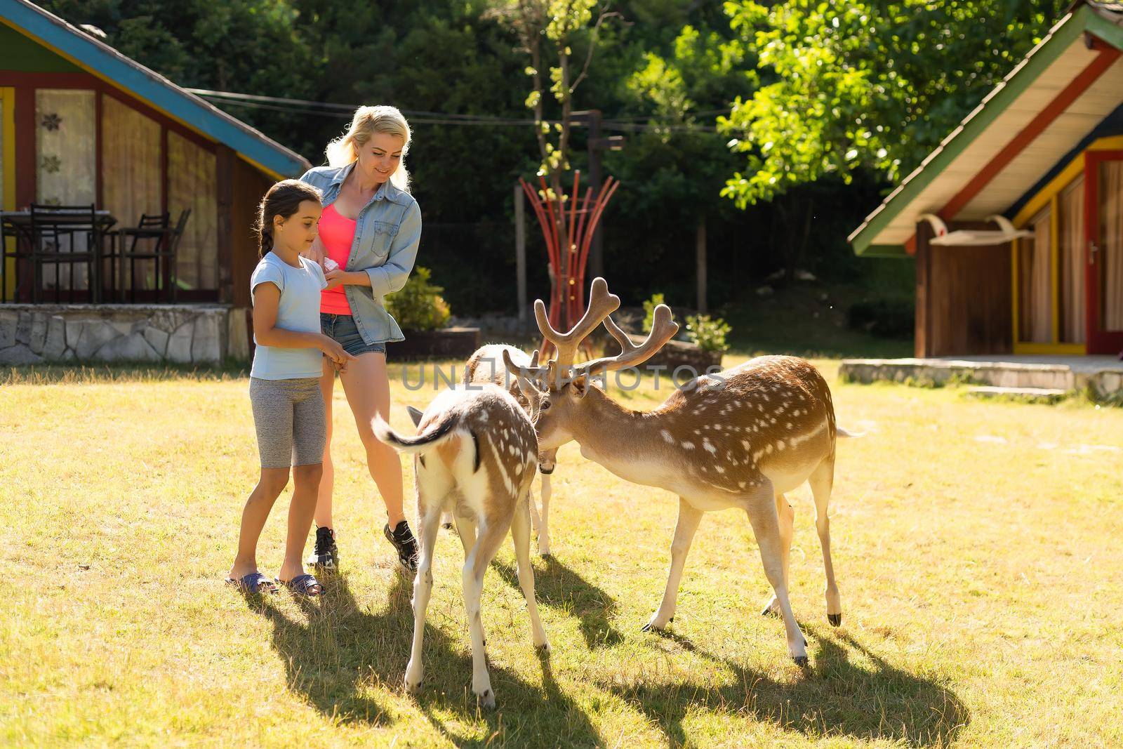 Photo of a young girl feeding deer and hugs him.