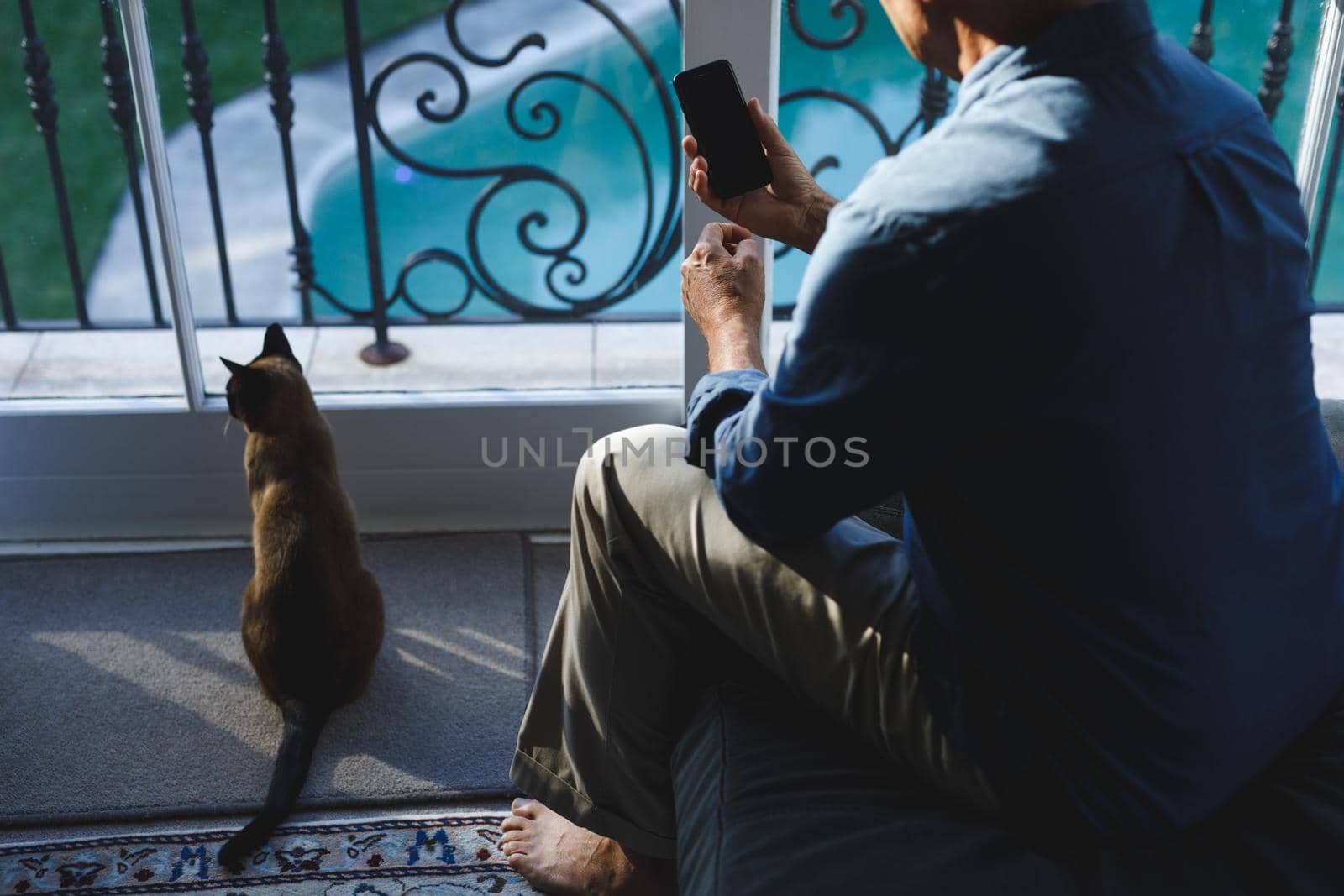 Senior caucasian man with cat in living room, sitting on sofa, using smartphone by Wavebreakmedia