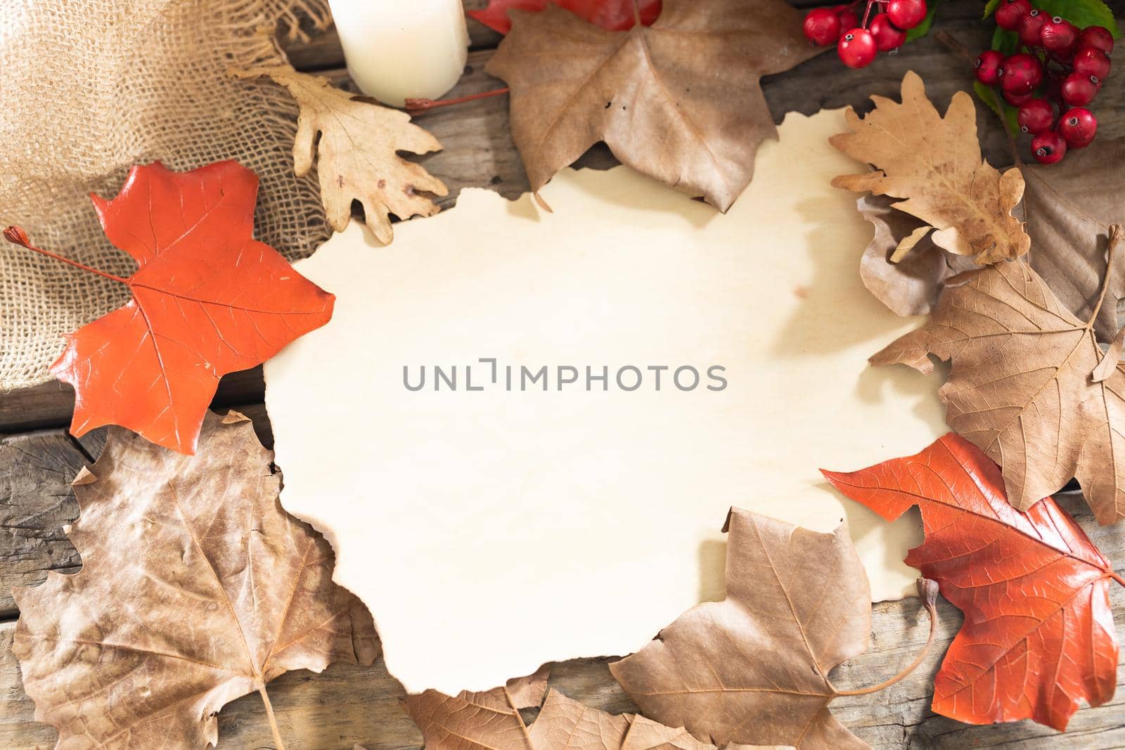Paper with copy space, autumn leaves and berries on wooden surface against wooden surface. halloween festivity and celebration concept