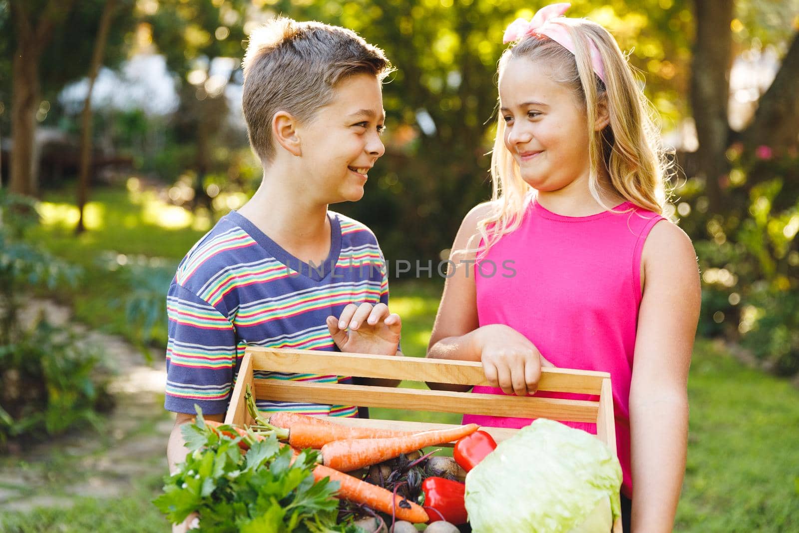 Happy caucasian brother and sister in garden holding box of fresh organic vegetables by Wavebreakmedia