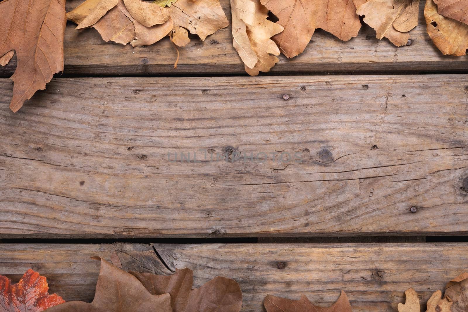 Composition of fall autumn dry leaves with copy space on rustic wooden surface by Wavebreakmedia