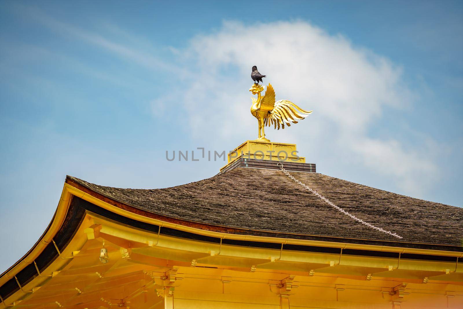 Long shot of crow on top of Golden pavilion temple cockerel