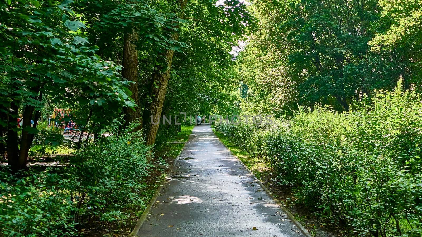 beautiful alley in the city park. general plan. color by lempro