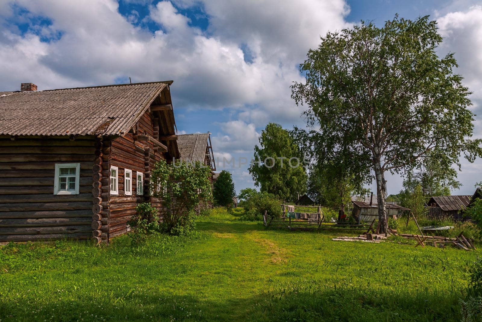 Summer view of traditional rustic russian village with wooden houses and birch tree.