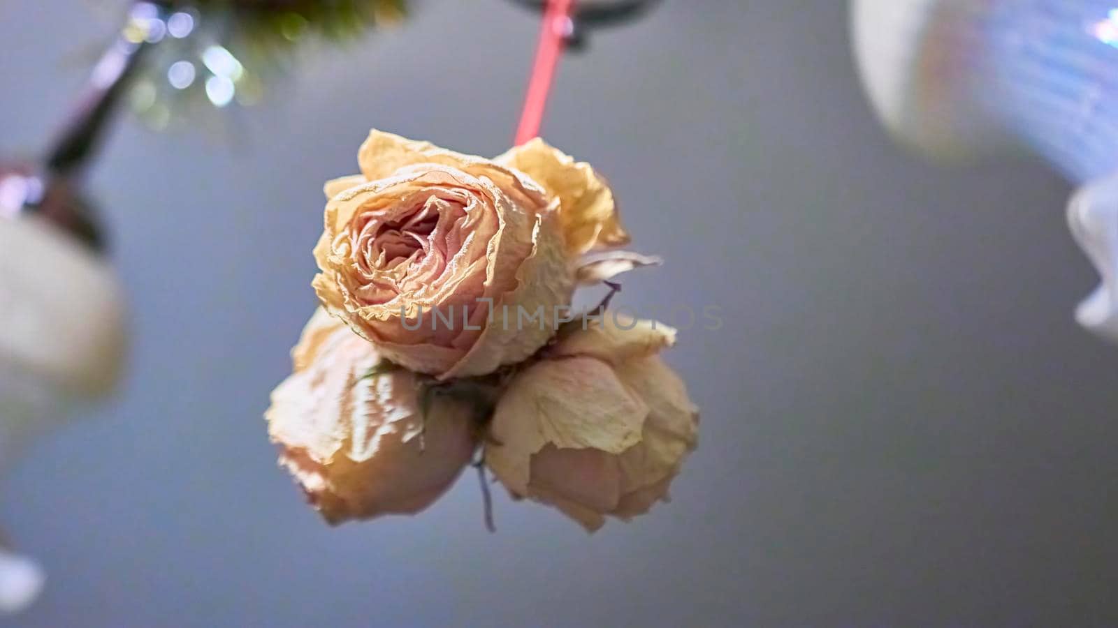 bouquet of paper roses. blur background. color by lempro