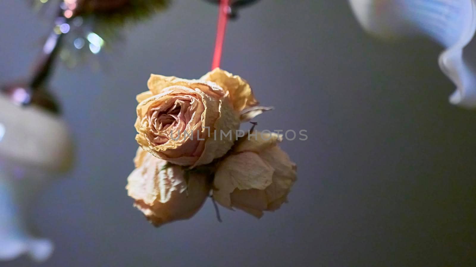 bouquet of paper roses. blur background. color by lempro