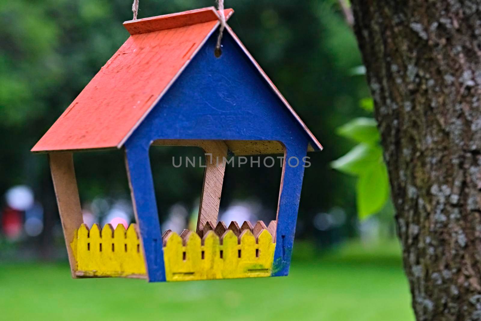 bird feeder in the city park. general plan. color by lempro