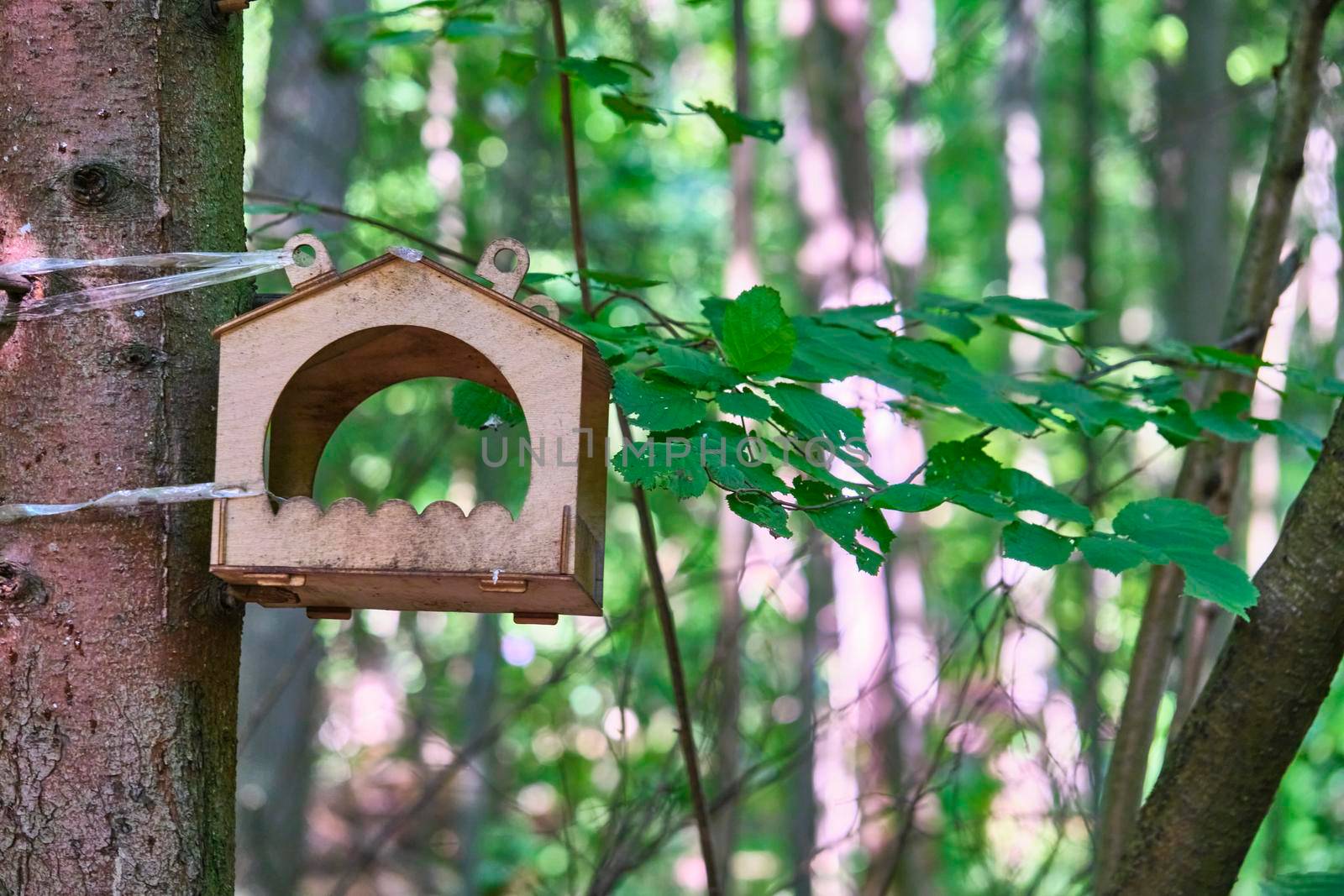 bird feeder in the city park. general plan. color by lempro