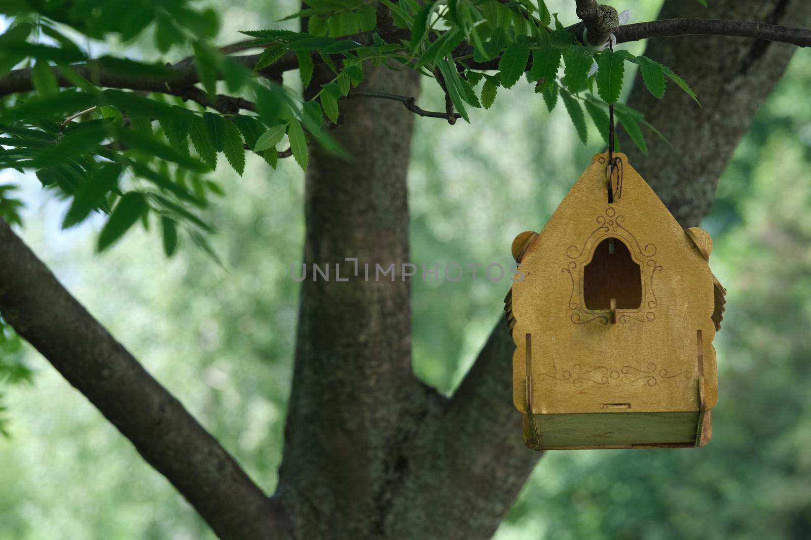 bird feeder in the city park. general plan. color by lempro