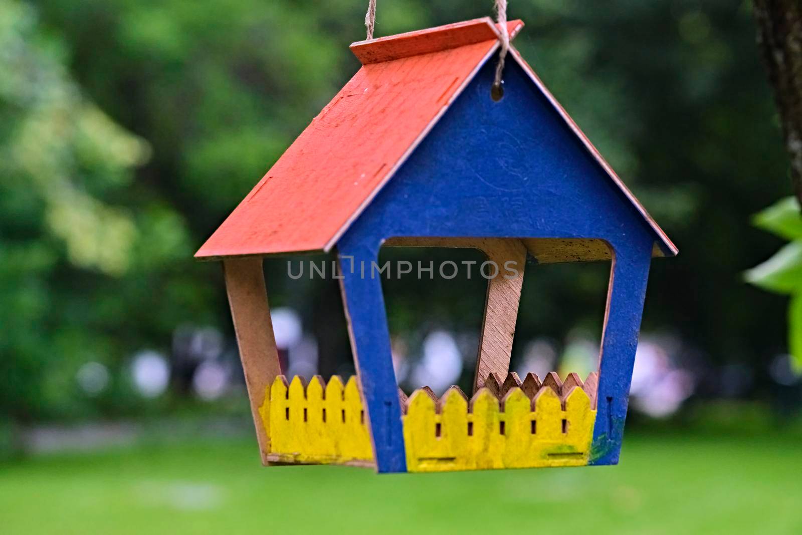 bird feeder in the city park. general plan