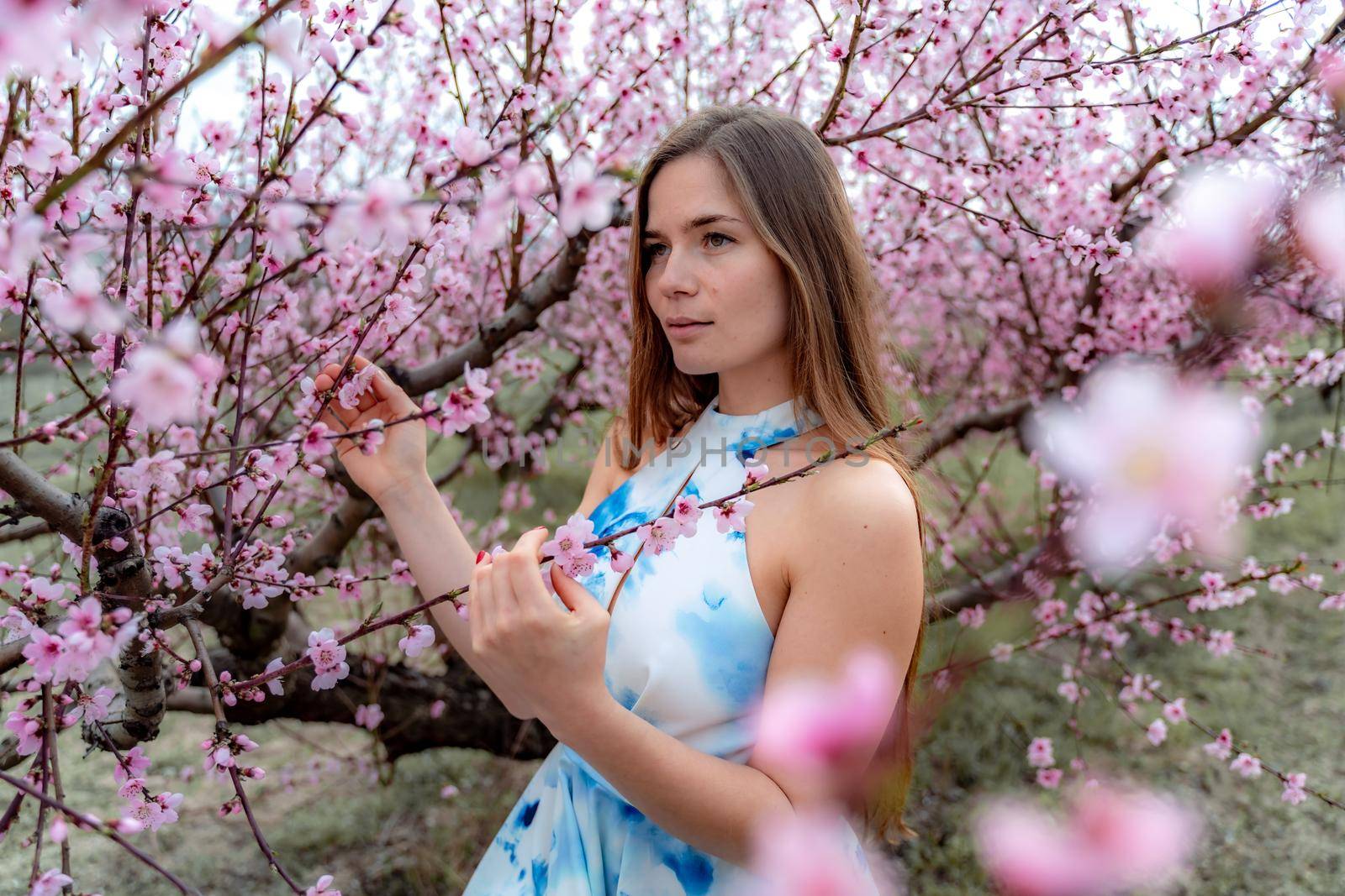 Young beautiful woman in blue dress and long hair is enjoying with blossoming peach trees by Matiunina