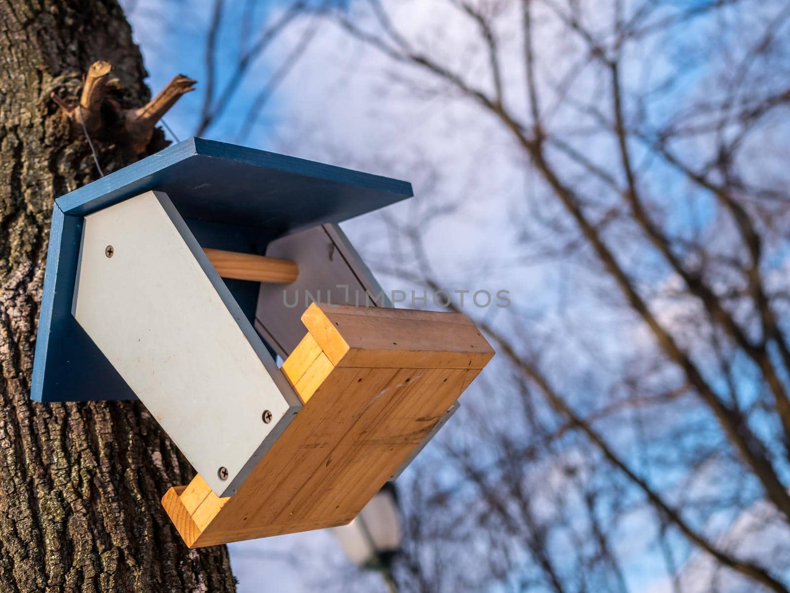 homemade bird feed in winter city park