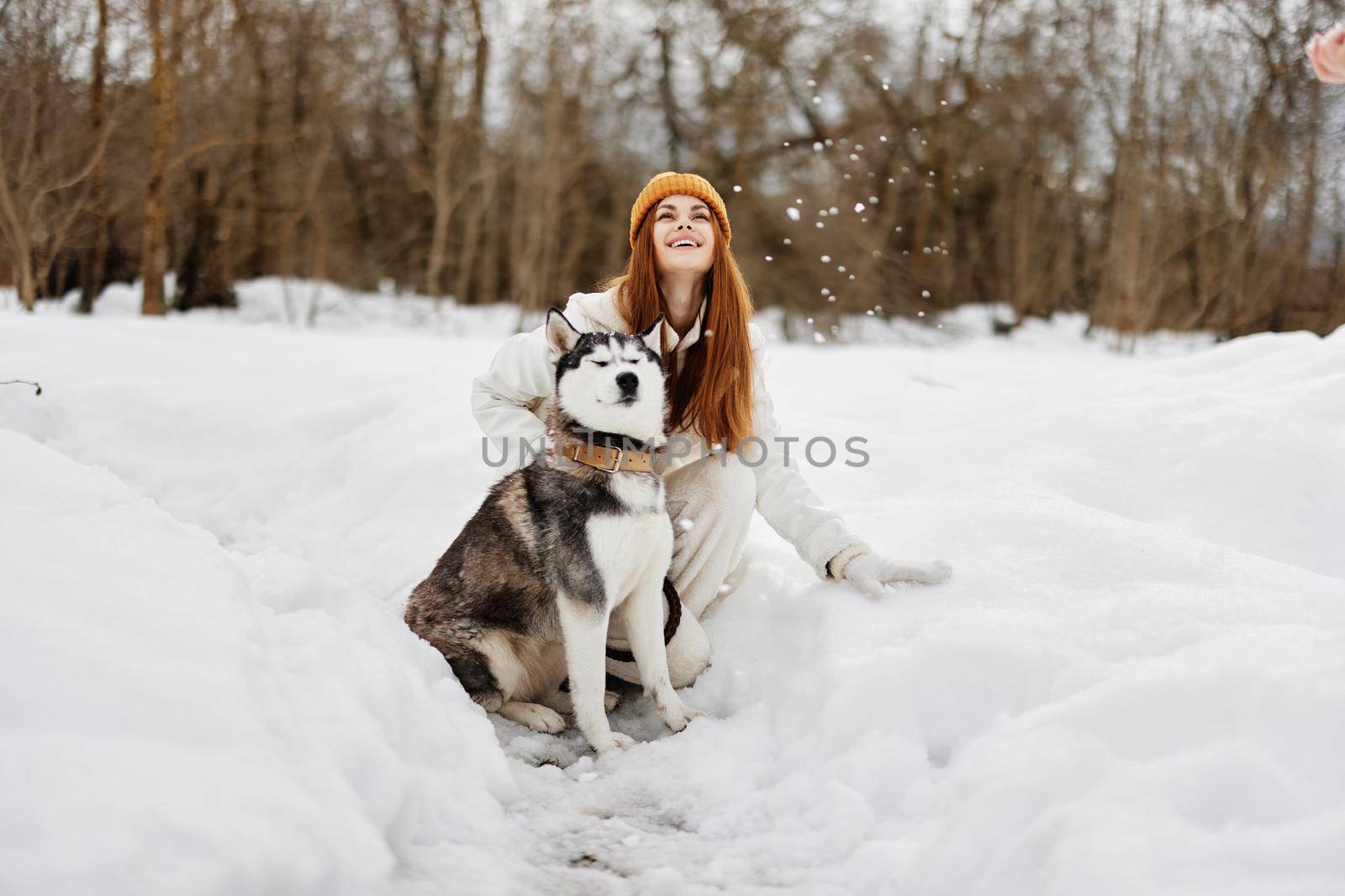 woman with a purebred dog winter landscape walk friendship winter holidays by SHOTPRIME