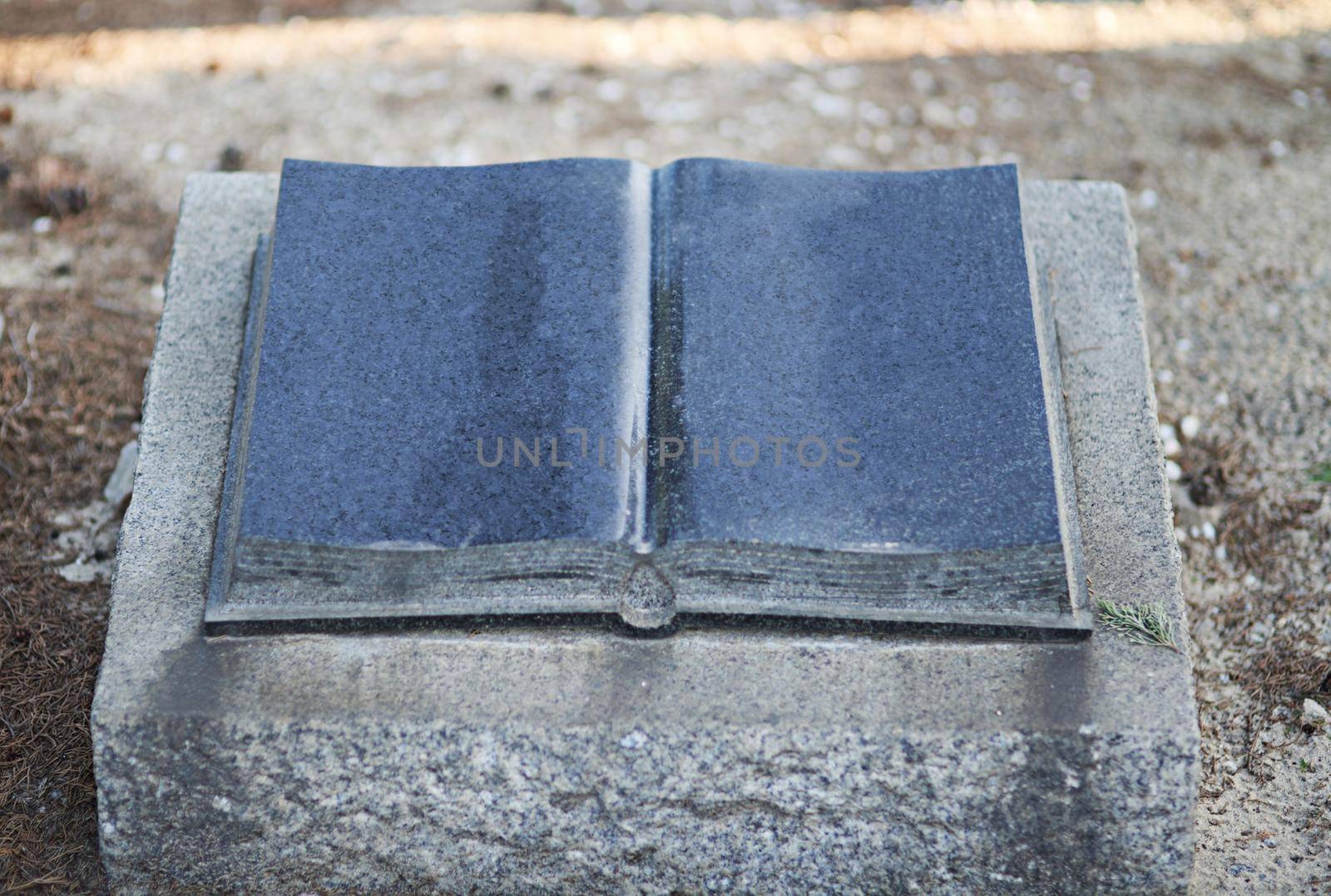 The holy book will forever be with them. Shot of a gravestone in a cemetery. by YuriArcurs