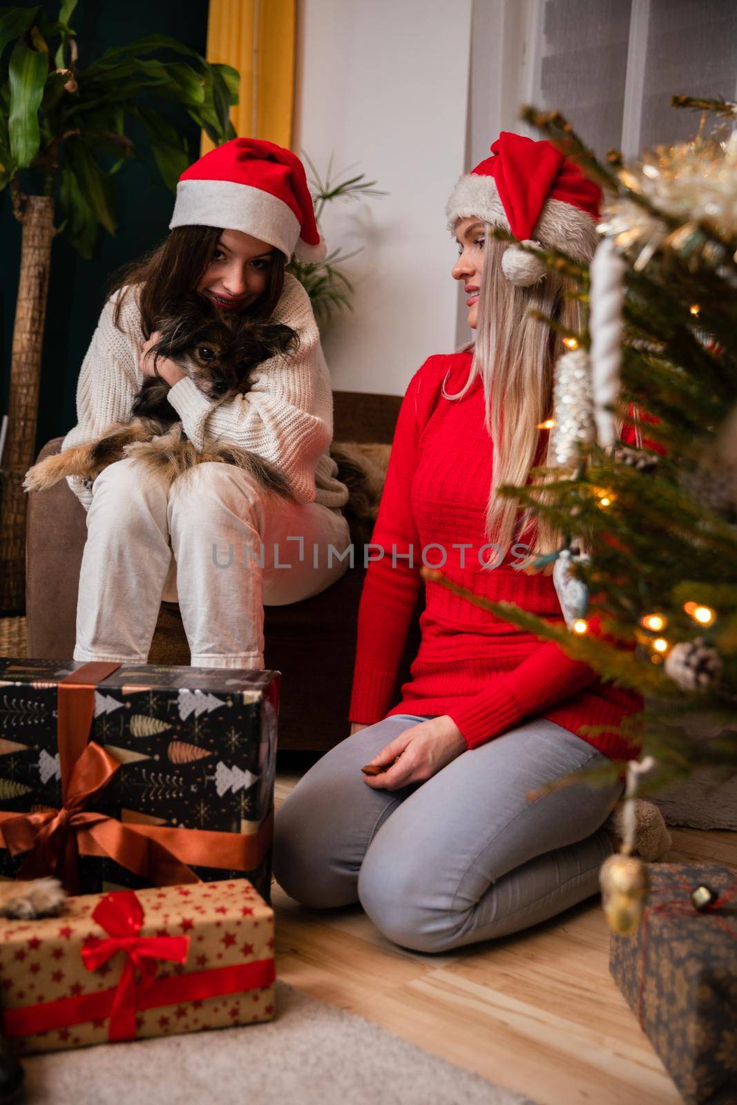 The daughter hugs the little dog and the mother watches with a smile. by fotodrobik