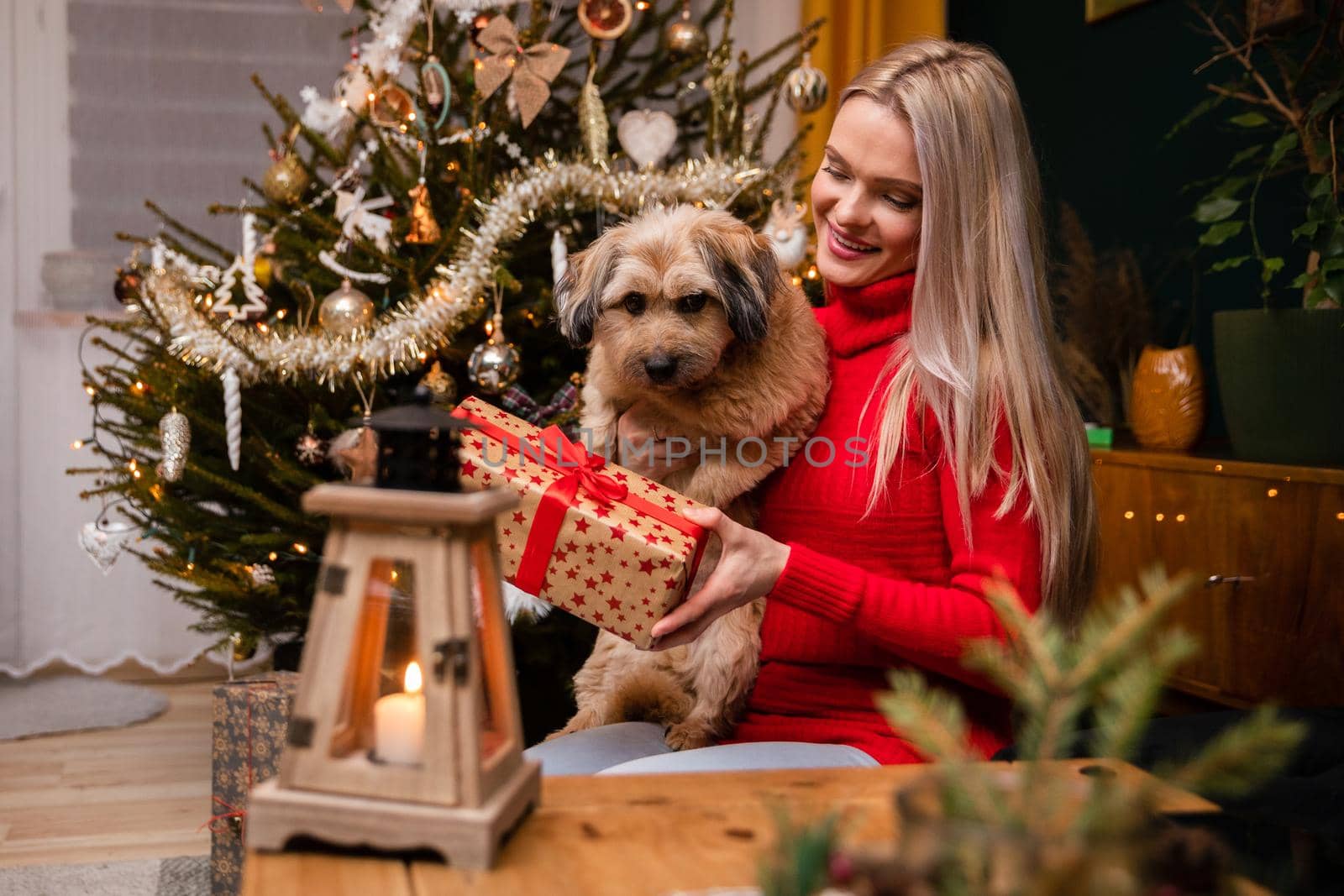 During Christmas, dogs also get gifts. A smiling woman holds a mongrel breed dog in her arms.