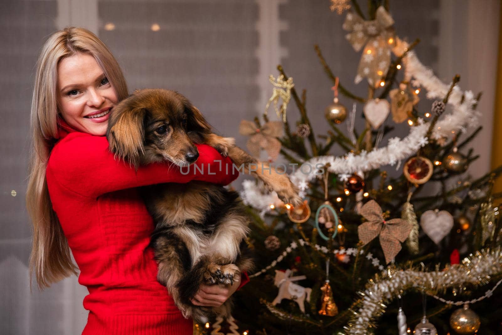 Smiling attractive woman stands in front of Christmas tree and on her hands she holds mongrel dog. Christmas tree decorated for Christmas.