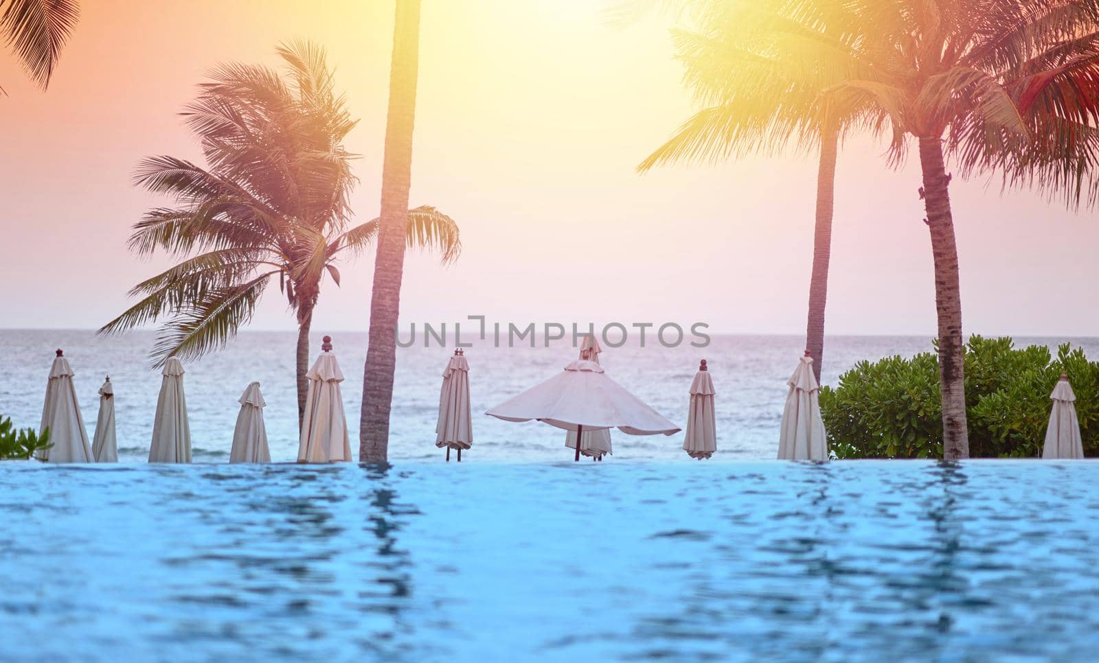 Beach front with water pool ,coconut tree,umbrella,bush,blur swimmer on sunset orange sky background and sea wave