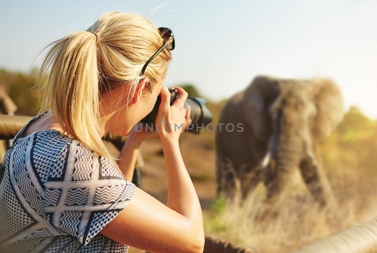 Cropped shot of a female tourist taking photographs of elephants while on safari.