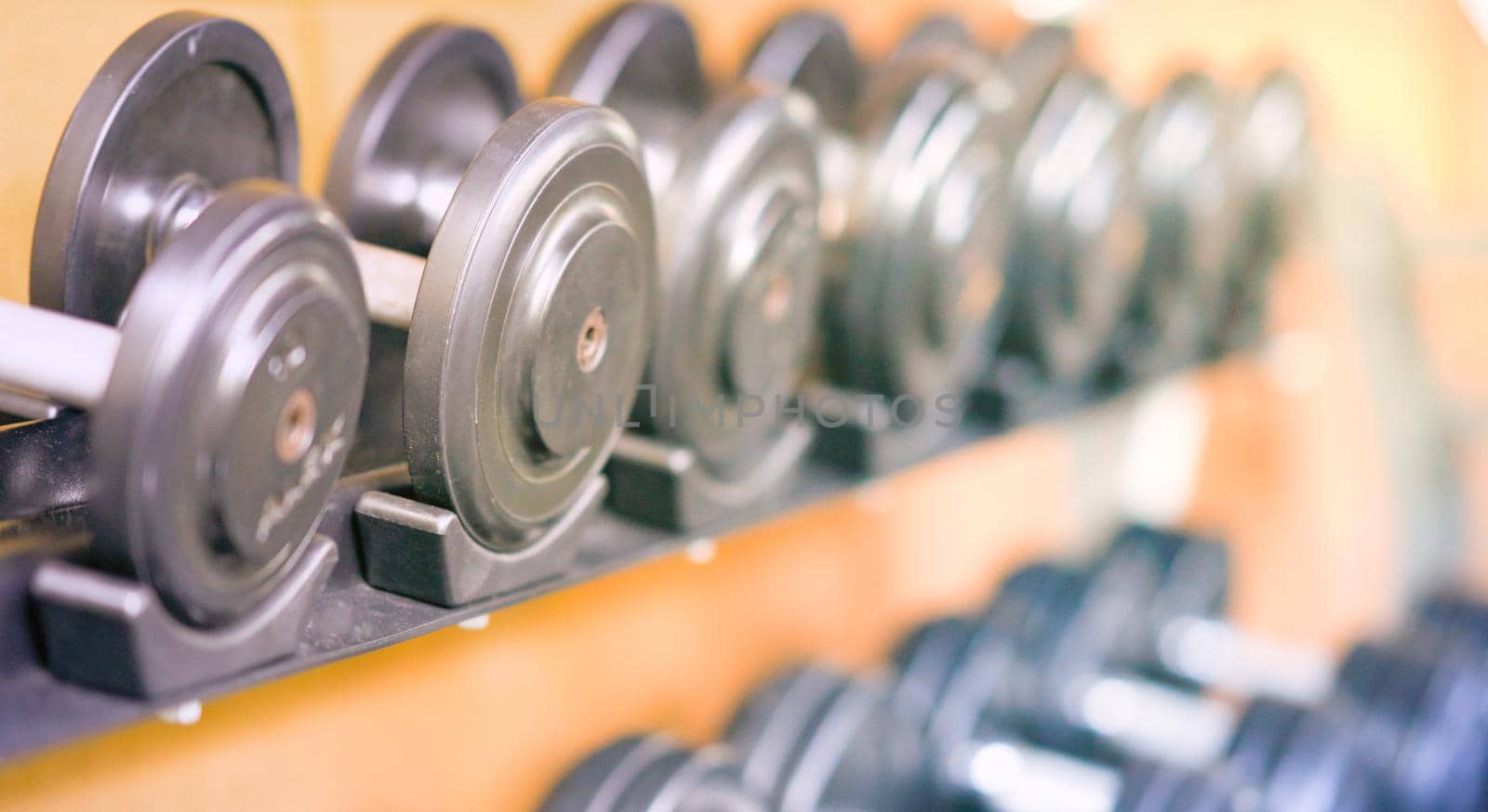 dumbbells set in gym with selective focus