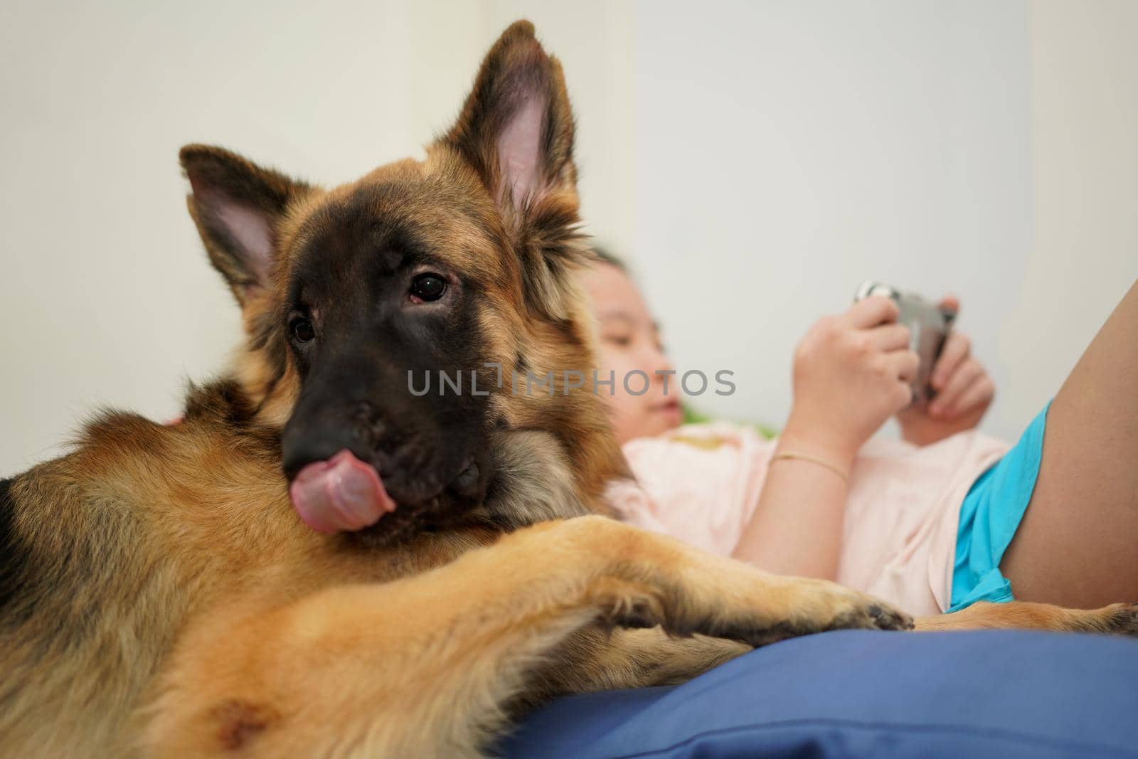 dog head with owner togetherness sitting with care and smiling