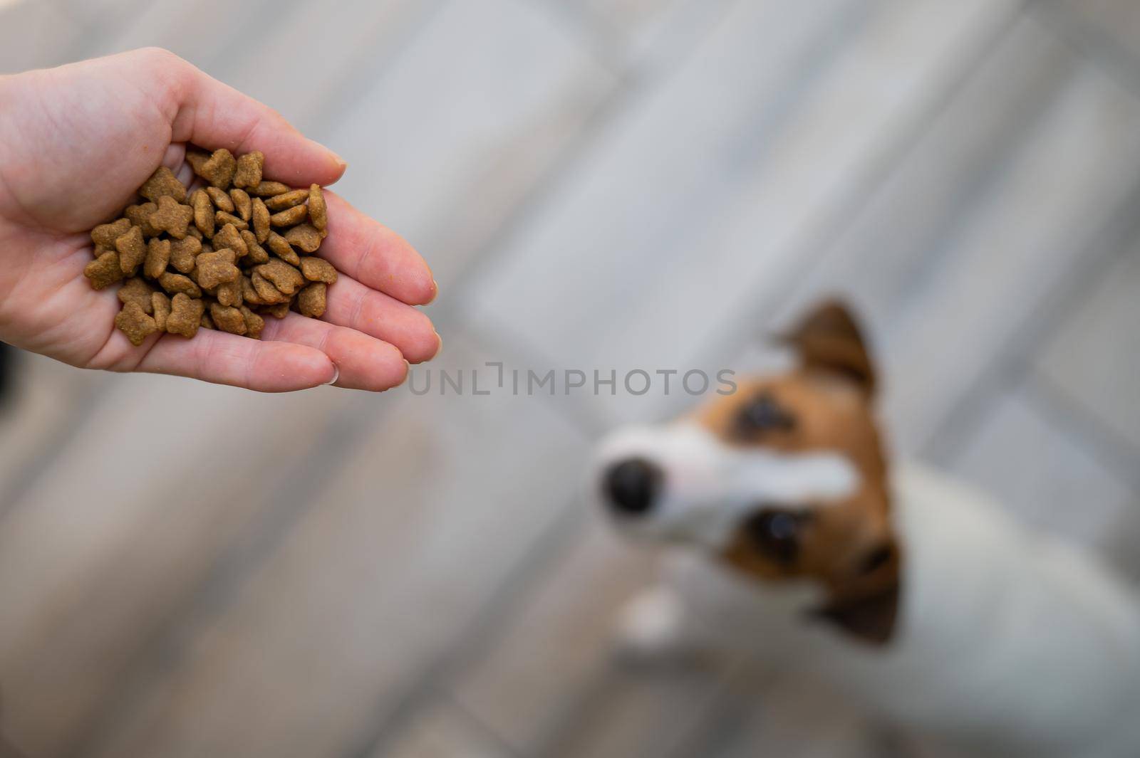 A woman is holding a handful of dry dog food