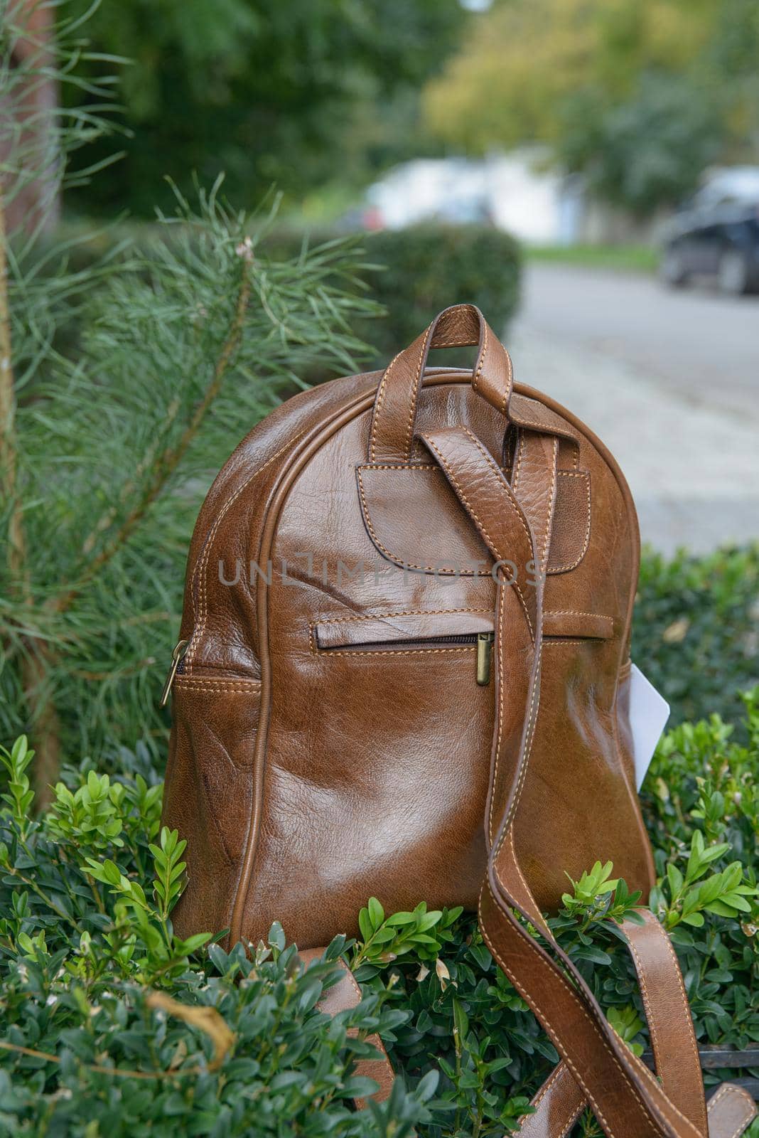 Brown leather backpack on the snone monument by Ashtray25