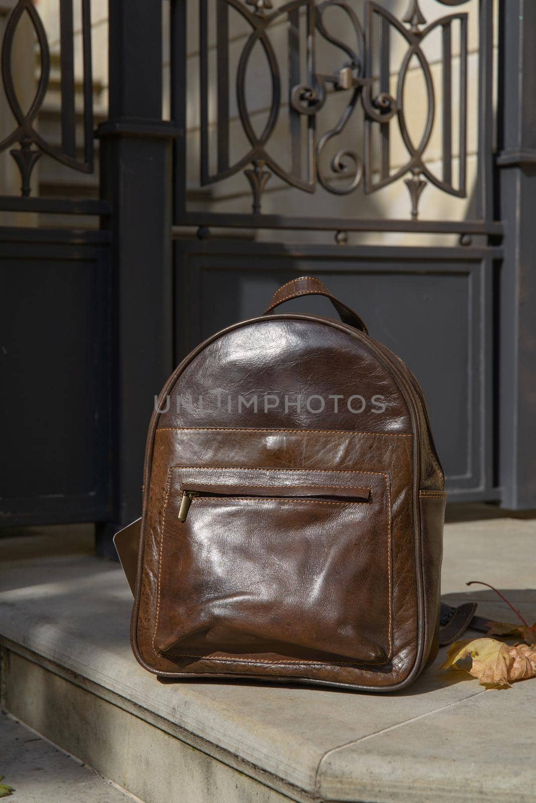 Brown leather backpack on the snone monument.