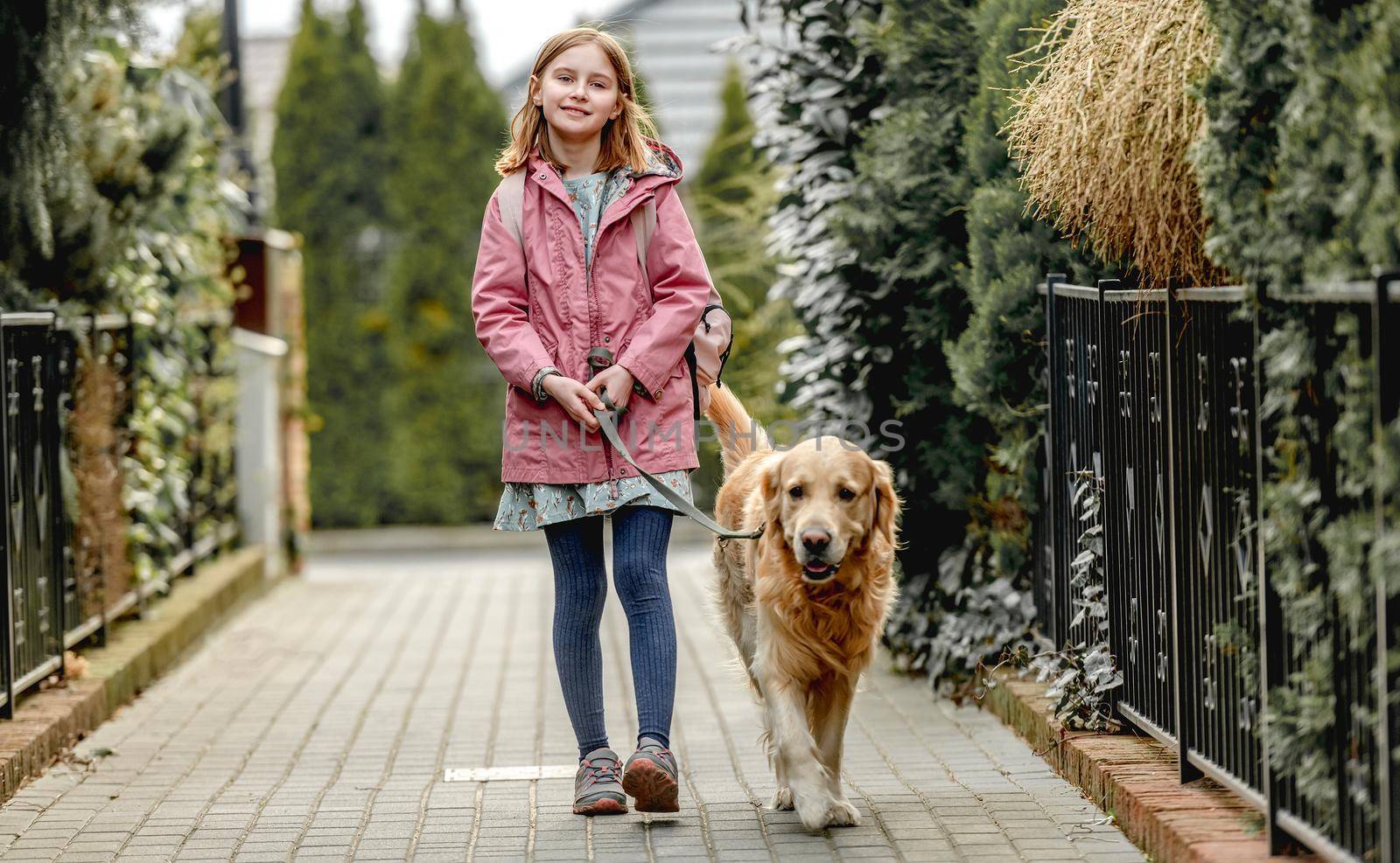 Preteen girl with golden retriever dog walking at street. Pretty child kid with purebred dog labrador in park outdoors.