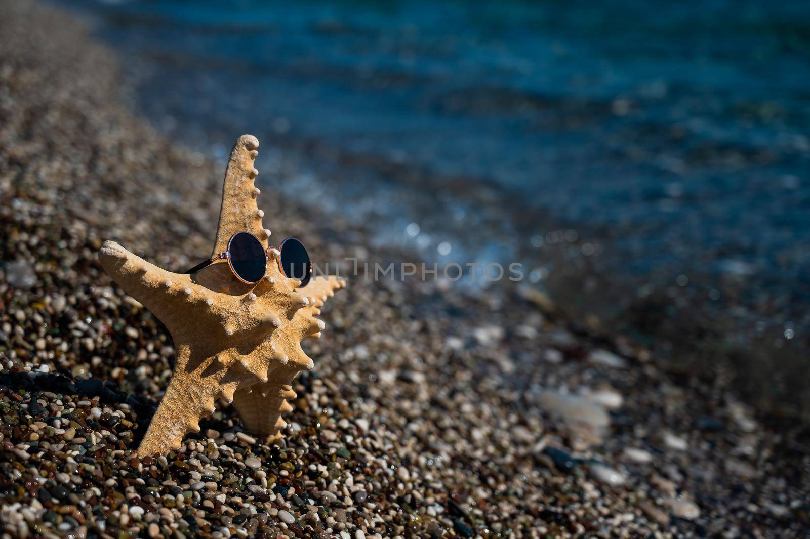 Starfish in sunglasses on a pebble beach by the sea. by mrwed54