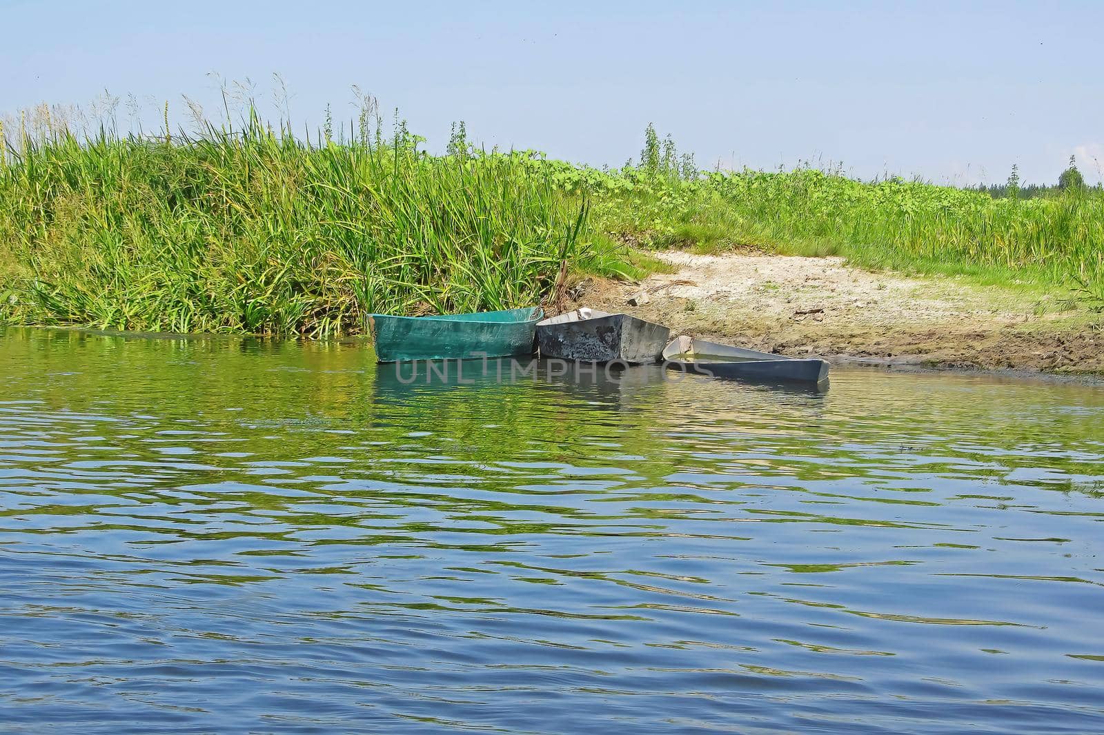Three boats in the reeds. Abandoned boat on the river without people. Wrecked boats on a green background on image