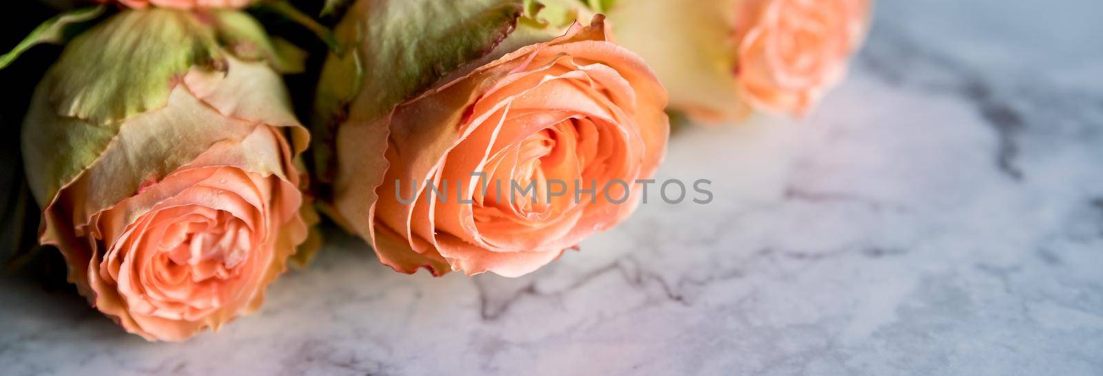 Beautiful english roses flowers. sunshine, Beautiful peony-shaped bushy pink roses. Valentine's day, the concept of love and loyalty.The concept of a flower shop, a small family business by YuliaYaspe1979