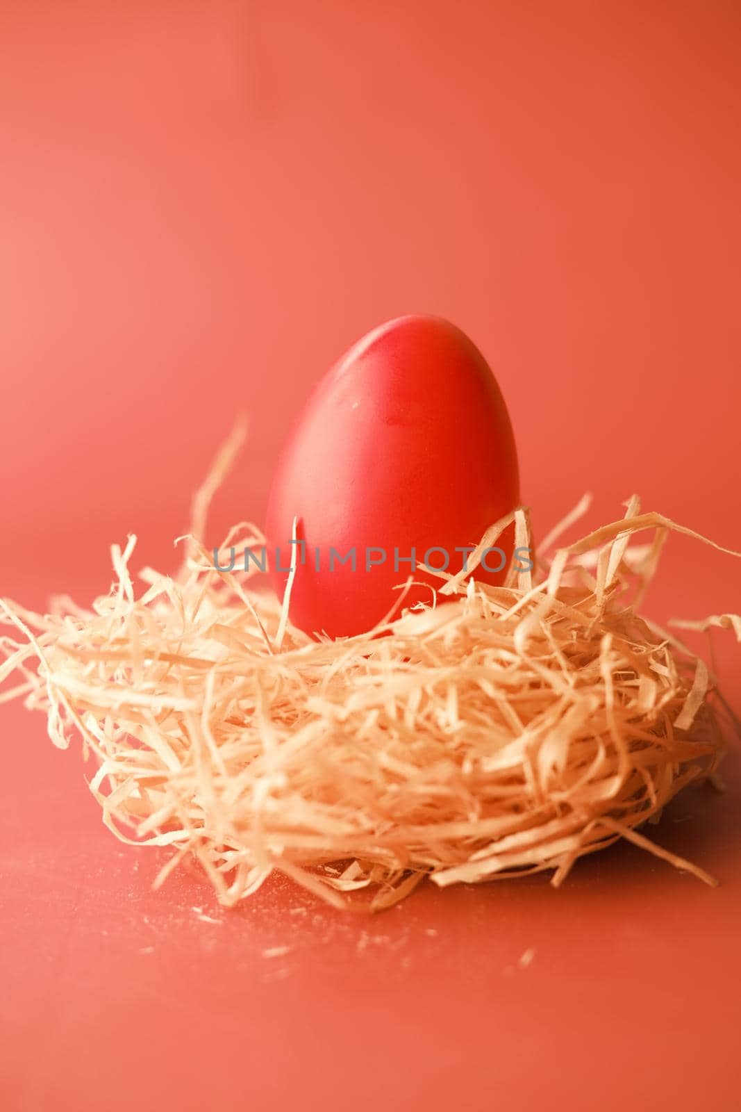 easter concept with red color egg on color background .