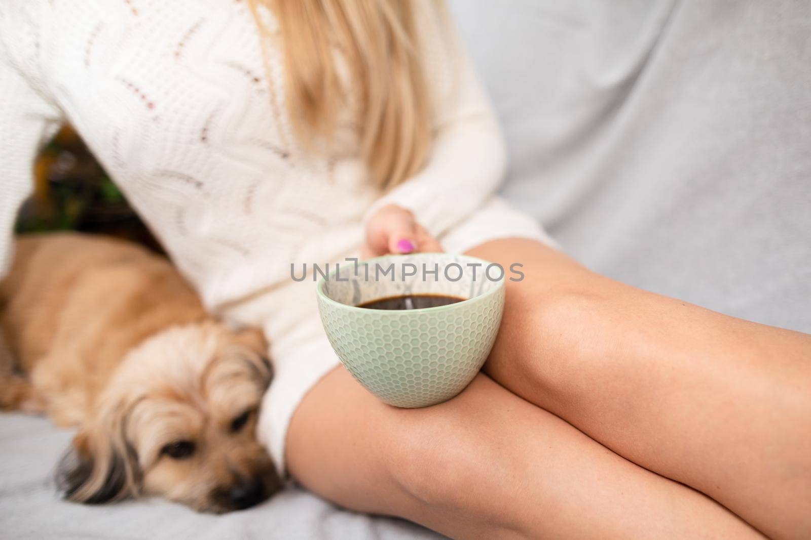 A mongrel dog lies on the sofa. Aromatic coffee in a porcelain cup in a woman's hands. The love of coffee and relaxation in the comfort of home.