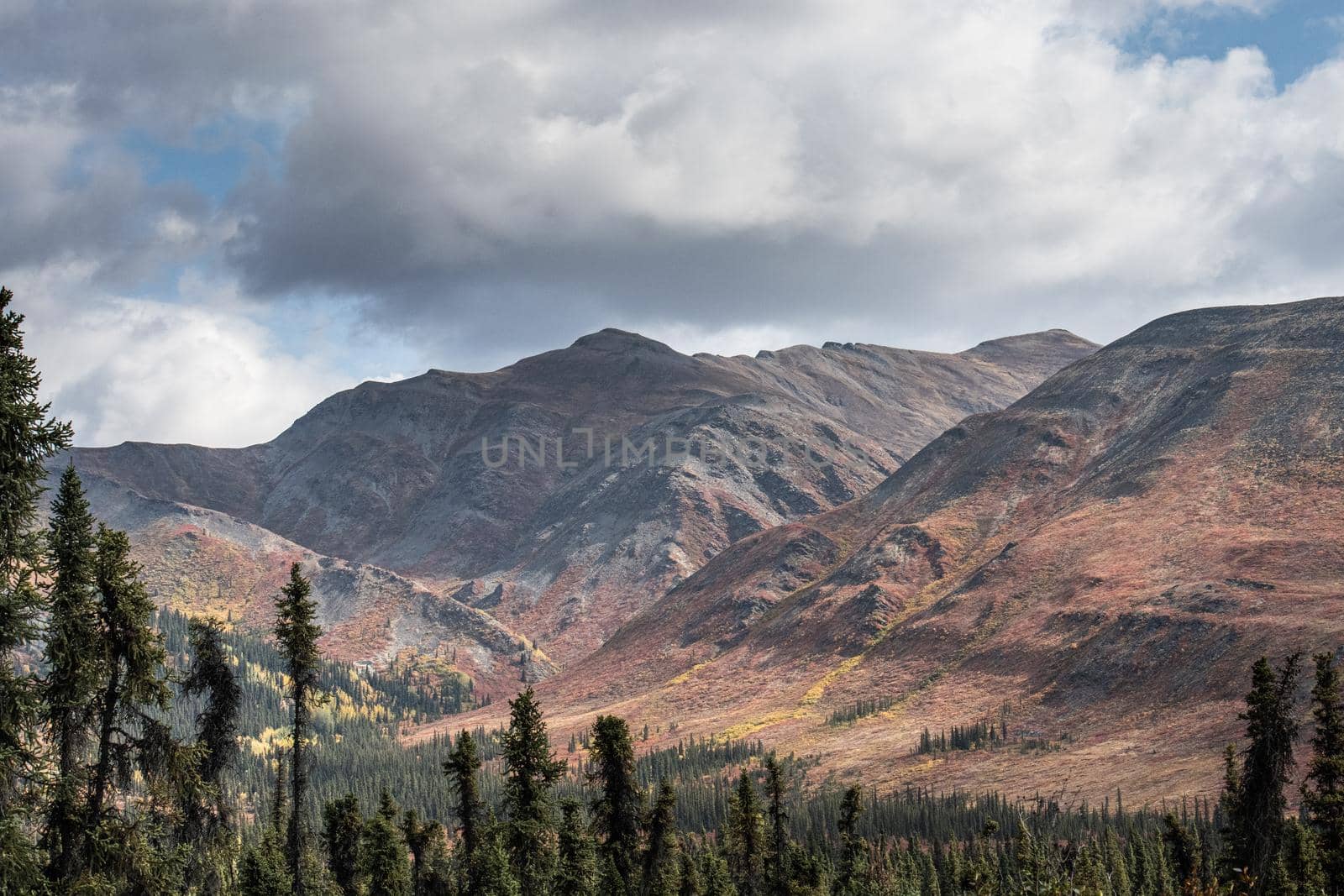 Tombstone Provincial Park in vivid magenta fall colors