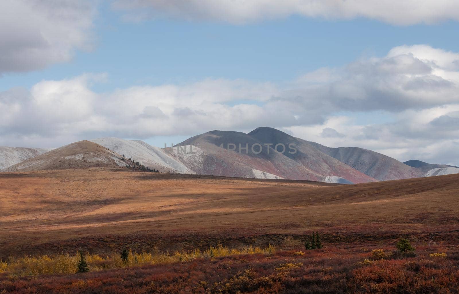 Yukon Territory wilderness glorious fall colors by lisaldw