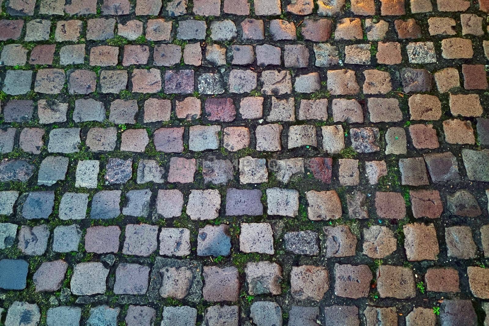 The background is made of old paving stones in the old part of the city, the texture of the stone. by kip02kas