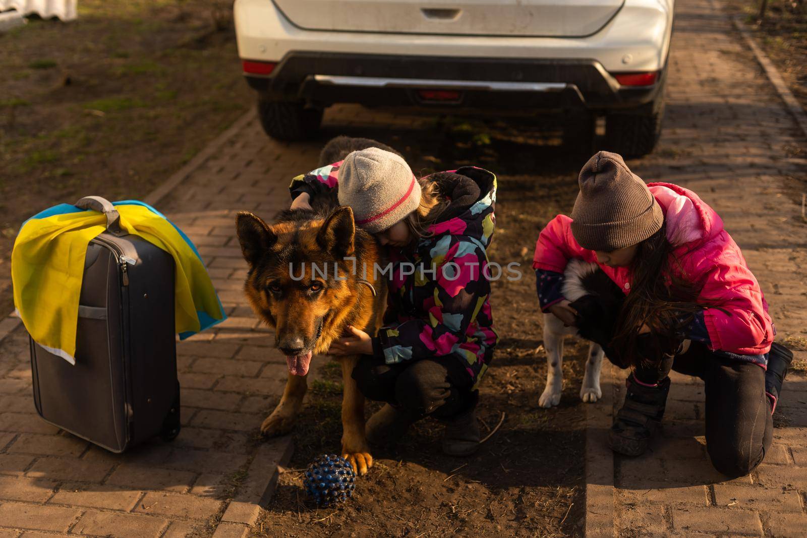 two little girls with the flag of ukraine, suitcase, dogs. Ukraine war migration. Collection of things in a suitcase. Flag of Ukraine, help. Krizin, military conflict