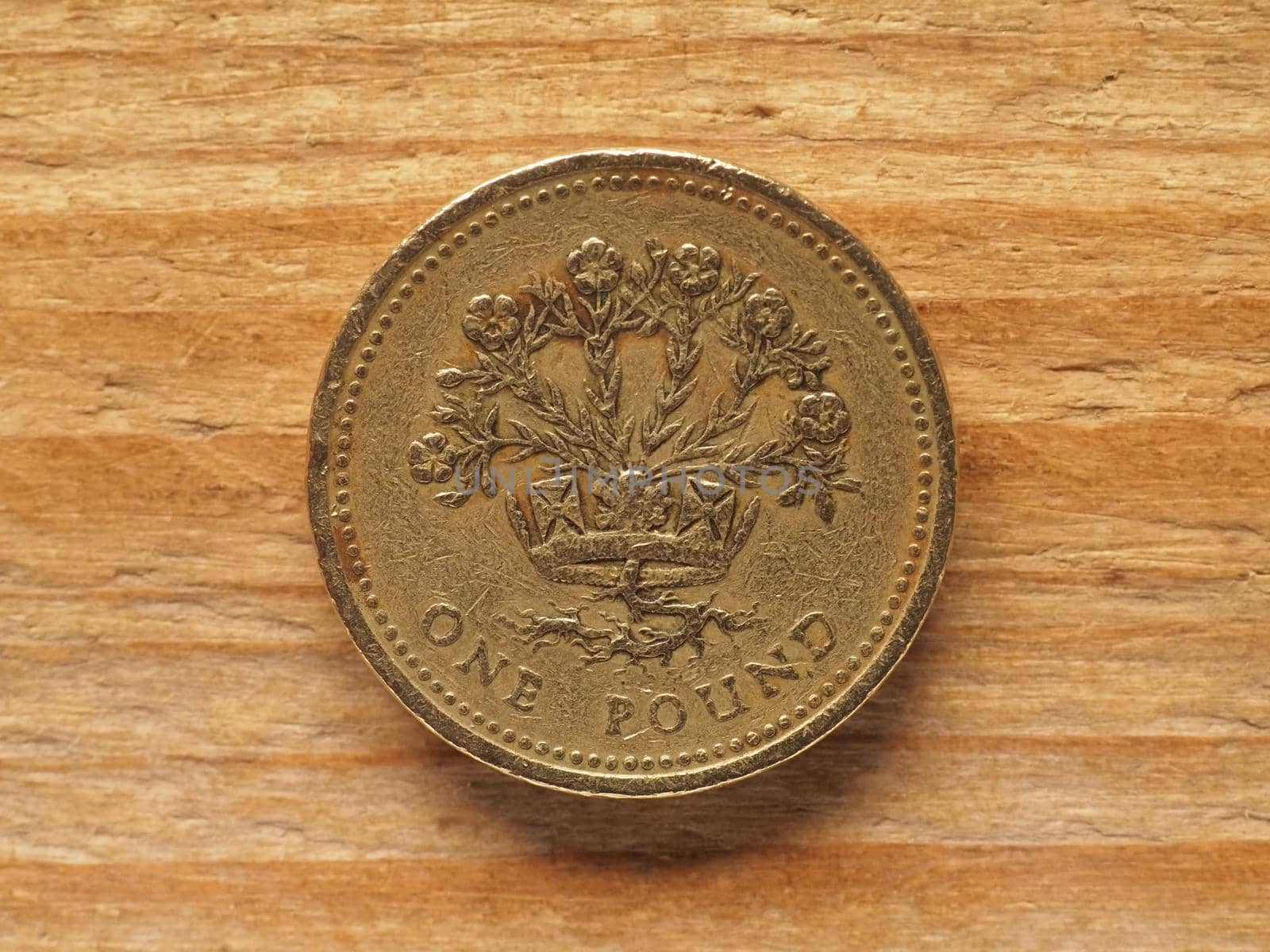 1 Pound coin, reverse side showing flax plant and diadem representing Northern Ireland, currency of the UK by claudiodivizia