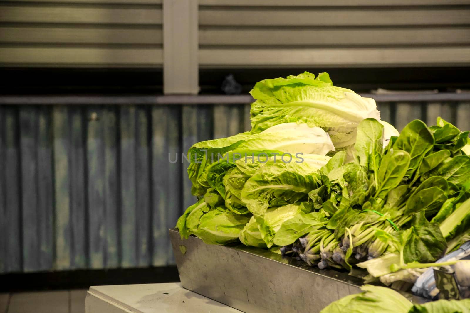 Stacked Lettuces for sale at a market stall in Alicante, Spain.